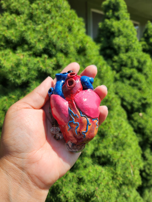 Anatomical Heart Suncatcher